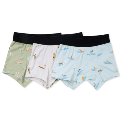 Boxer Brief 3-Pack - Surfer Dudes Multi